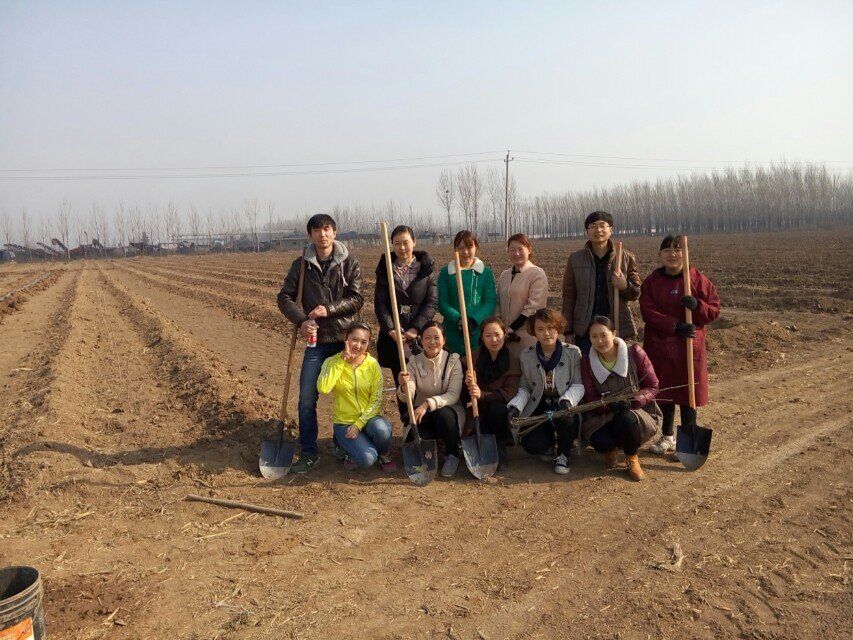 博農(nóng)集團(tuán)領(lǐng)導(dǎo)、基層黨政負(fù)責(zé)人等同志積極參加植樹活動